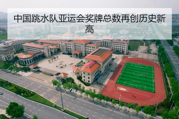 中国跳水队亚运会奖牌总数再创历史新高 - hth